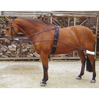 Harry's Horse Lunging System