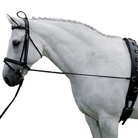 Harry's Horse Elastic Neck Stretcher.