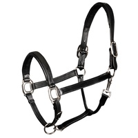 Harry’s Horse Padded Leather Head collar/stall, halter - black