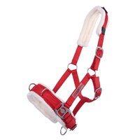 QHP lunging cavesson Bright Red full