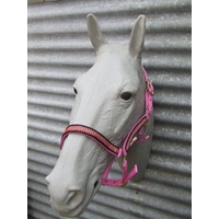 Ecotak pink halter/headstall with houndstooth pattern full