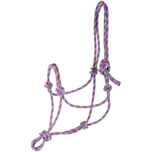 Harry's Horse Rope Halter - purple