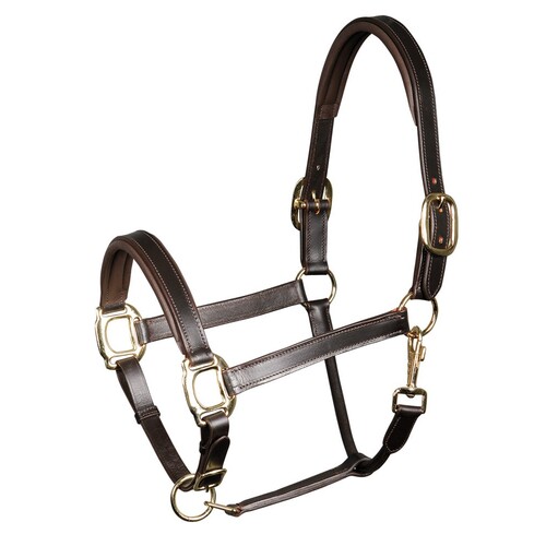 Harry’s Horse Padded Leather Head collar/stall, halter - black