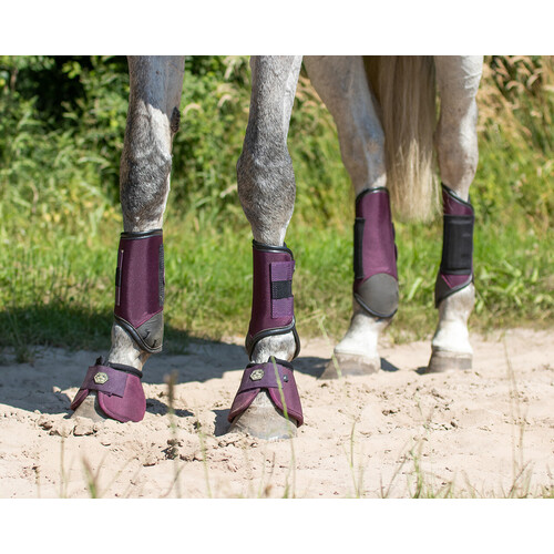 QHP set 4 Eventing technical cross country boots - Large Purple