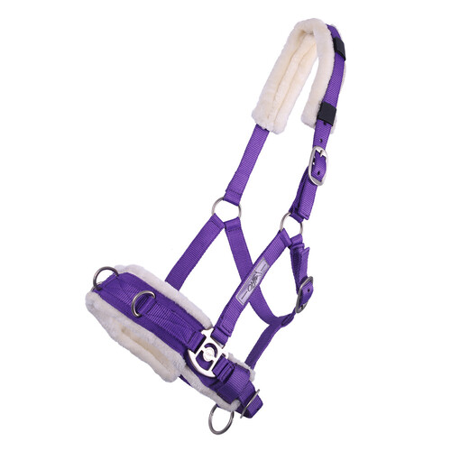QHP lunging cavesson Passion Flower Purple Full