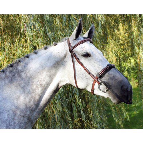 QHP horse anti fly nose protection