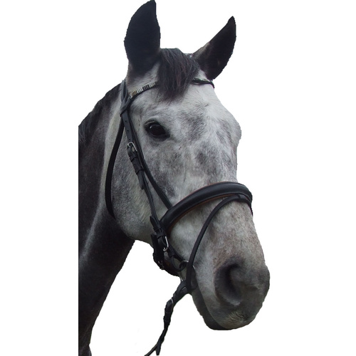 Ecotak Black Hanovarian Bridle with brown padding & U browband Pony