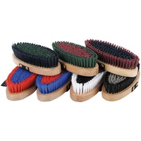 Harry's Horse Soft Coloured Rainbow Brushes.