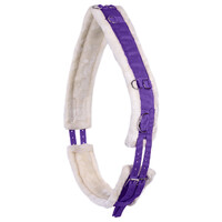 QHP Ontario Lunging Girth/ lunge roller - Passion flower purple pony