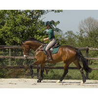 QHP set 4 Eventing technical cross country boots - Large Black