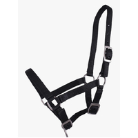 QHP Shetland foal head collar/halter/headstall 