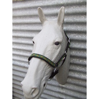 Ecotak black halter/headstall with green pattern PONY