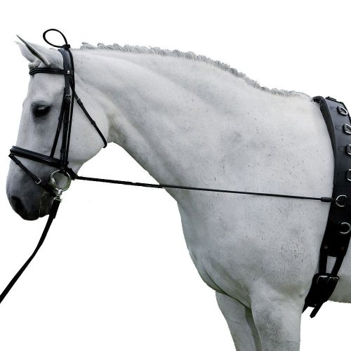 Harry's Horse Elastic Neck Stretcher.