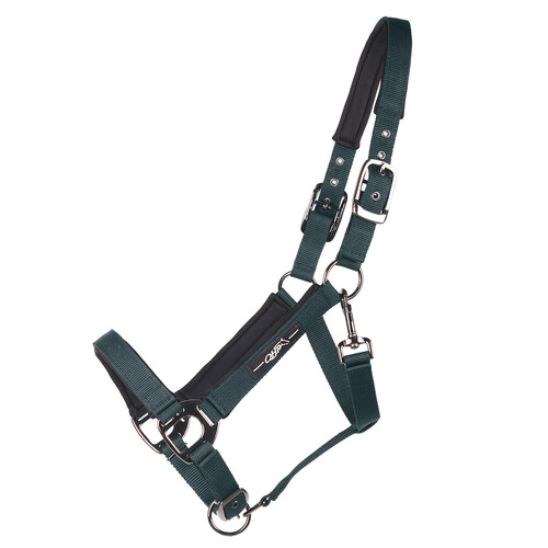 QHP Headcollar Deluxe - Bottle Green Halter/Headstall