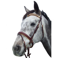 Bridles & Accessories