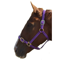 Halters/Headstalls